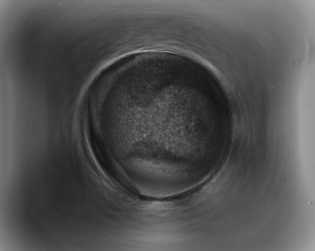 X0000090731506200707201358