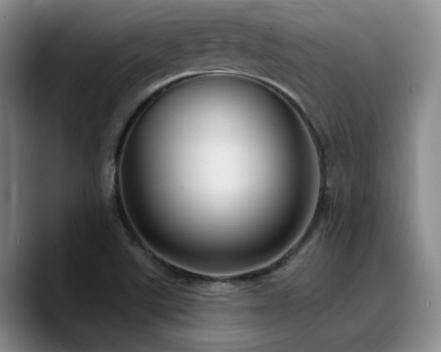 X0000090731507200707201358