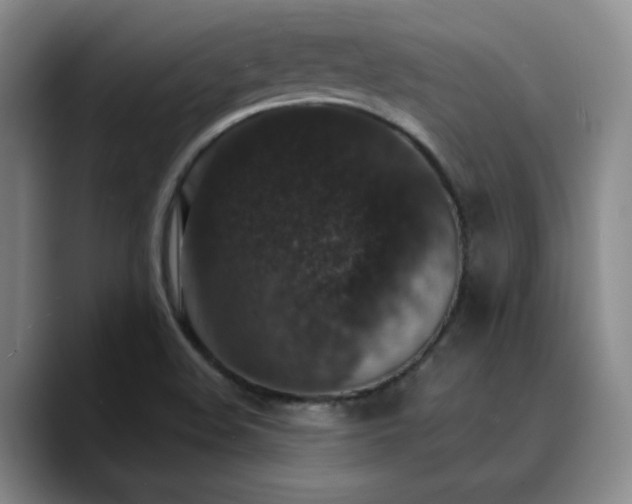 X0000090731508200707201358