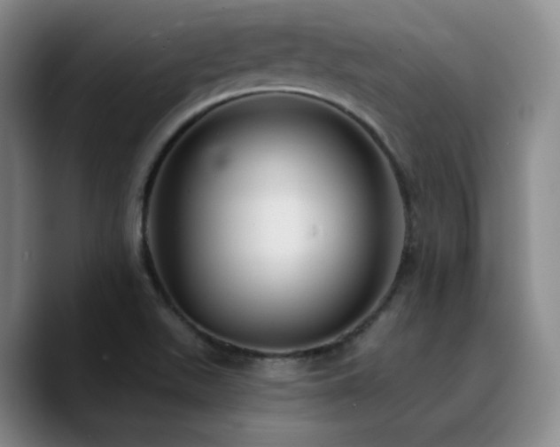 X0000090731511200707201358