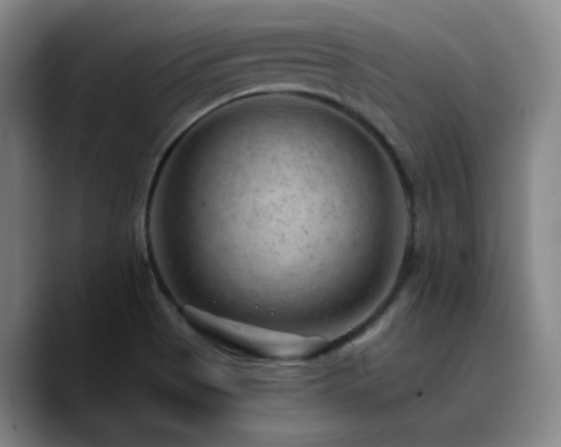 X0000090731513200707201358