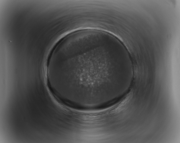 X0000090731515200707201358