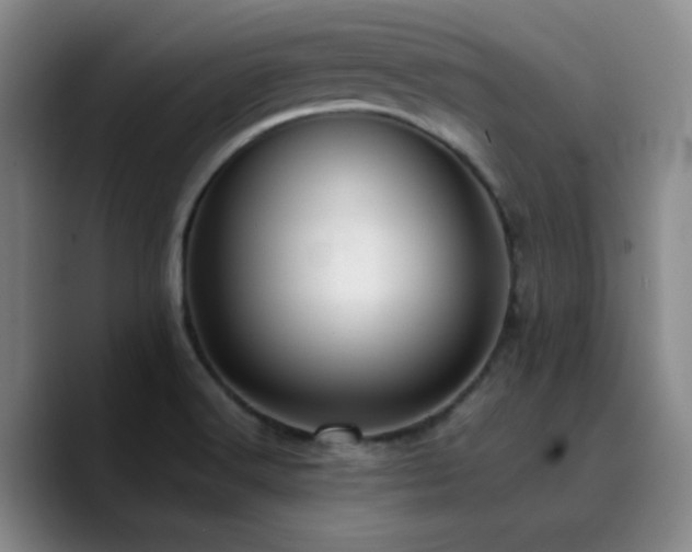 X0000090731516200707201358