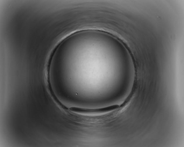 X0000090731517200707201358