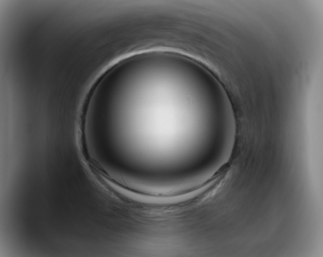 X0000090731518200707201358
