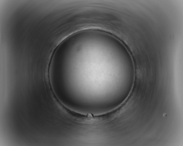 X0000090731521200707201358