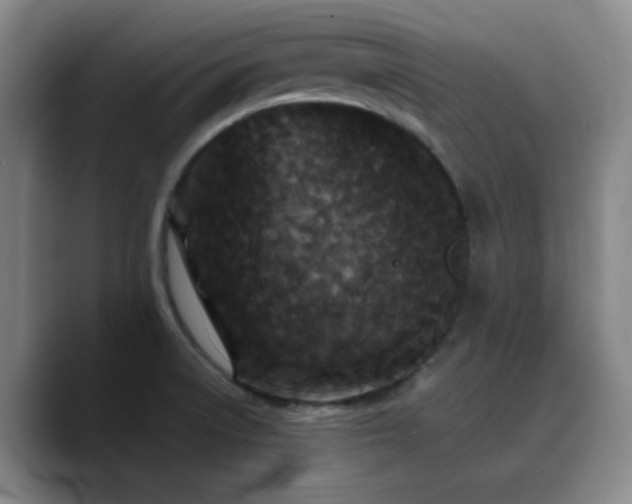 X0000090731522200707201358