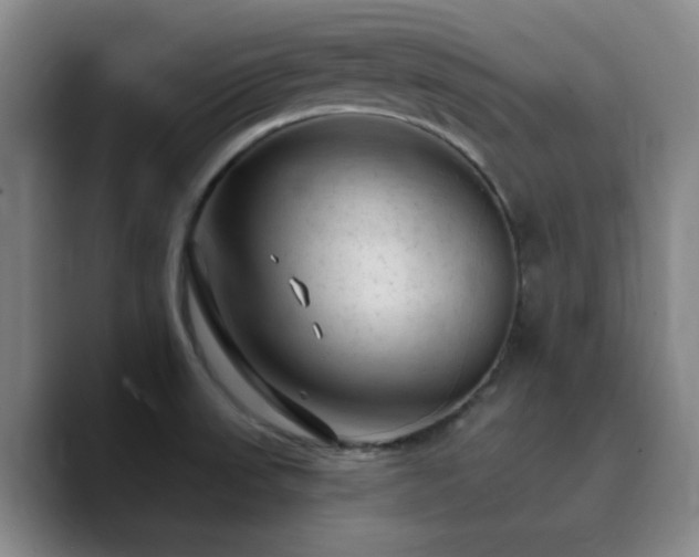 X0000090731523200707201358