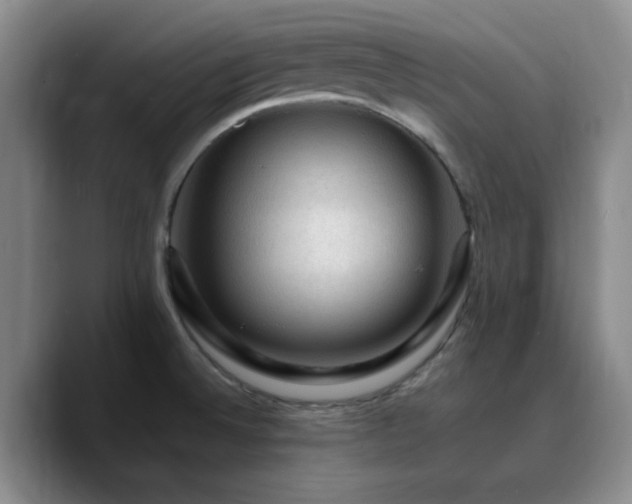 X0000090731524200707201358