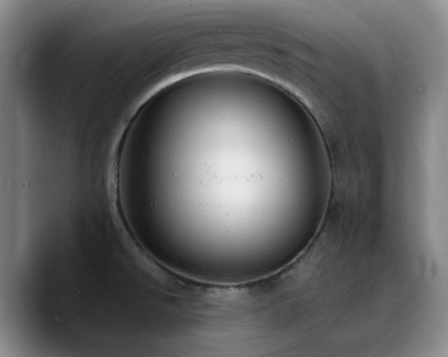 X0000090731526200707201358