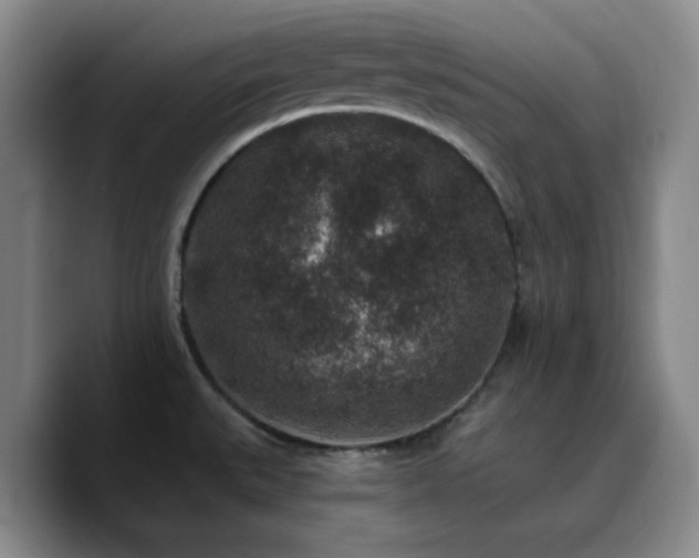 X0000090731527200707201358