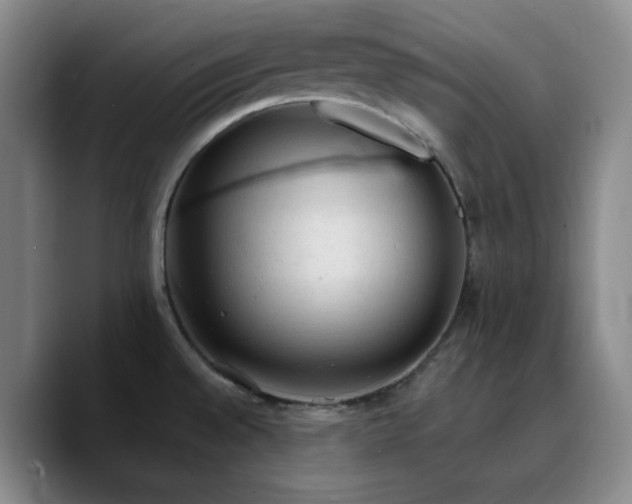 X0000090731528200707201358