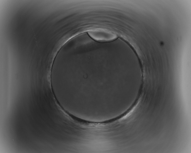 X0000090731529200707201358