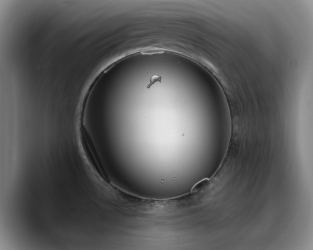 X0000090731530200707201358