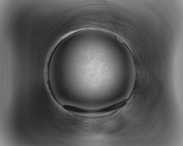 X0000090731531200707201358