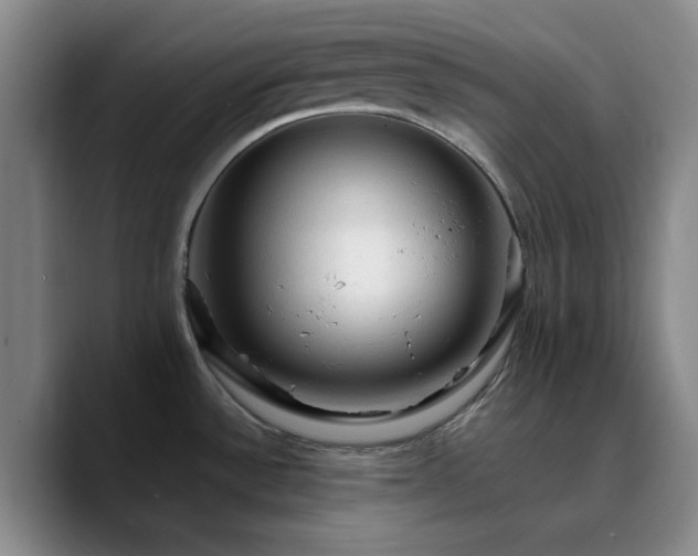 X0000090731532200707201358