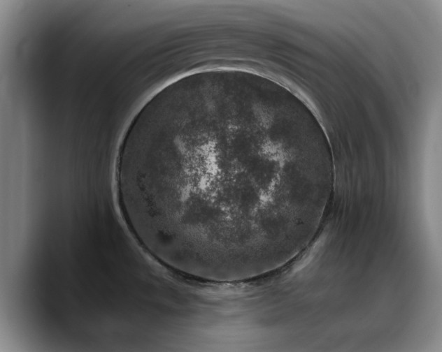 X0000090731533200707201358