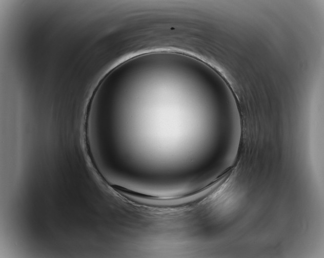 X0000090731534200707201358