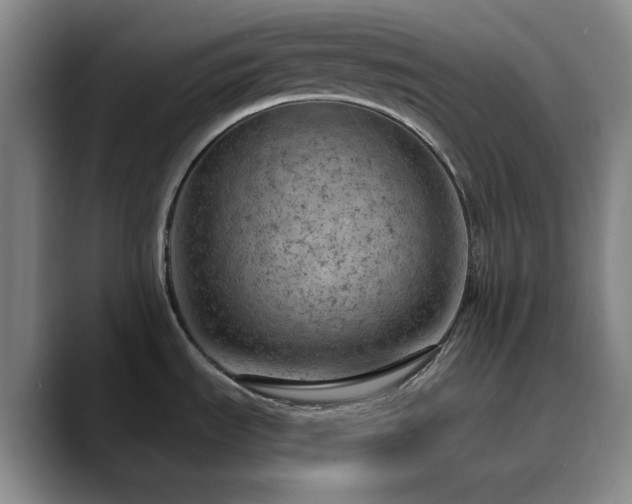 X0000090731535200707201358