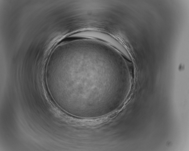 X0000090730001200707271413