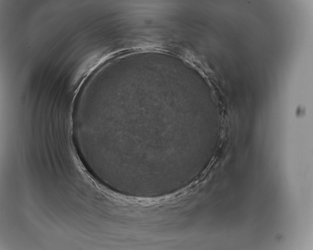 X0000090730002200707271413