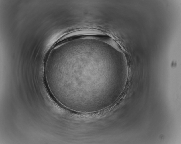 X0000090730005200707271413