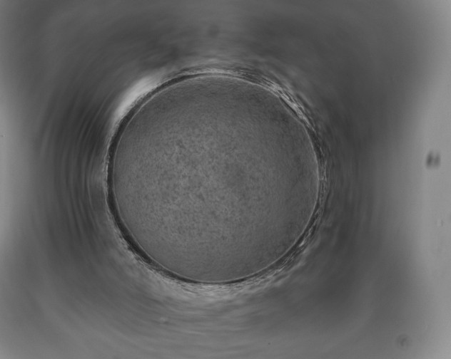 X0000090730006200707271413
