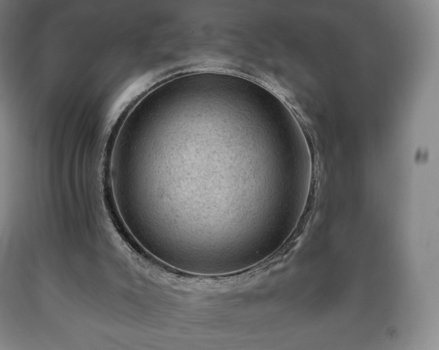 X0000090730007200707271413