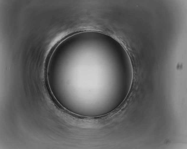 X0000090730008200707271413
