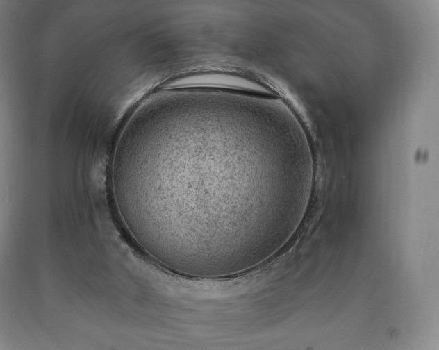 X0000090730010200707271413