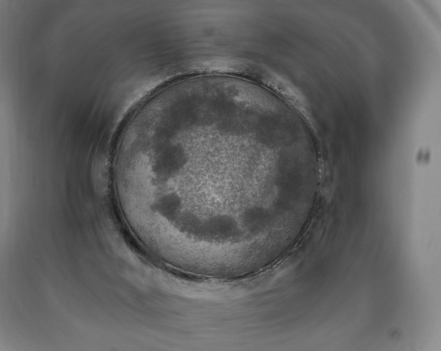 X0000090730012200707271413