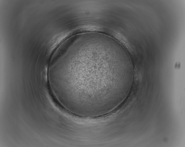 X0000090730014200707271413