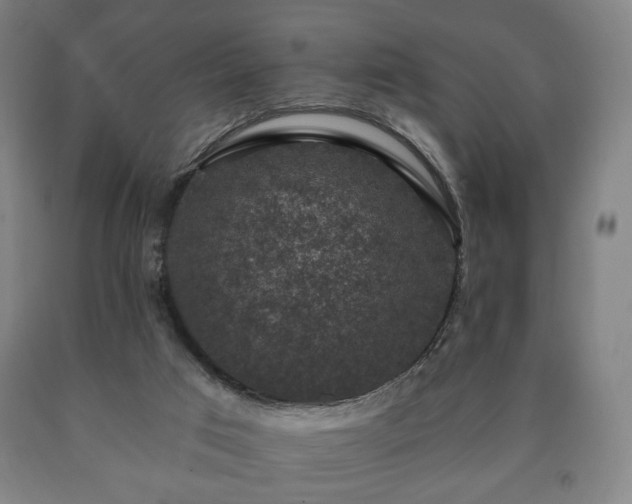 X0000090730017200707271413