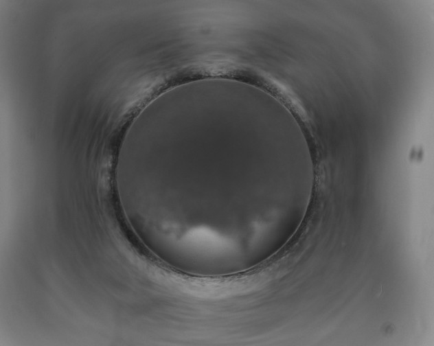 X0000090730018200707271413
