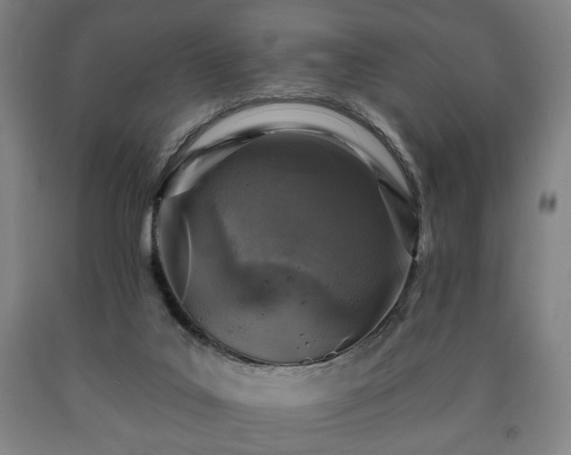 X0000090730019200707271413