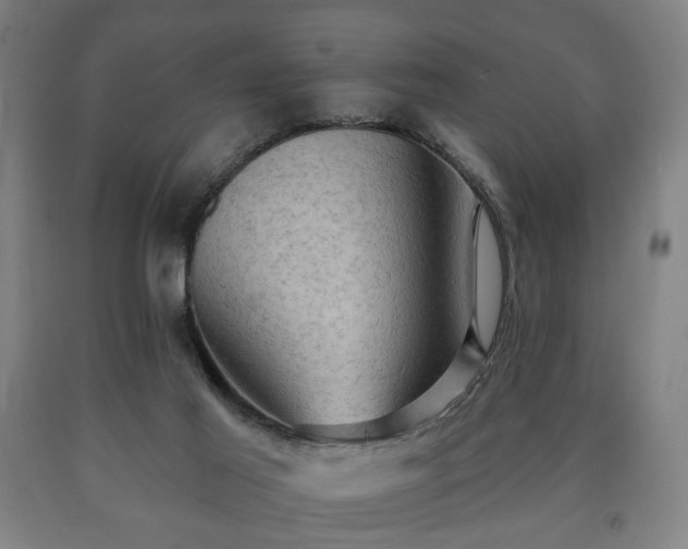 X0000090730021200707271413
