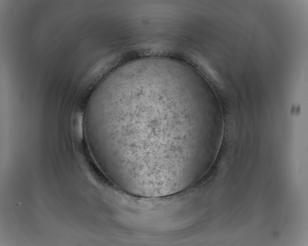 X0000090730022200707271413