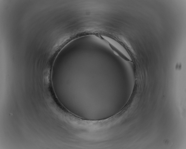 X0000090730023200707271413