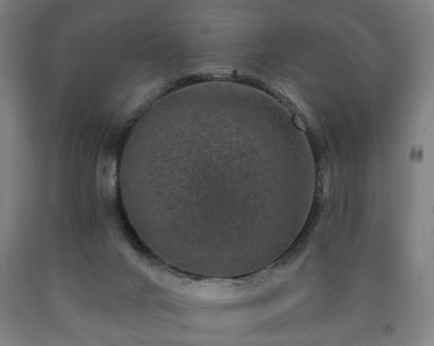 X0000090730024200707271413