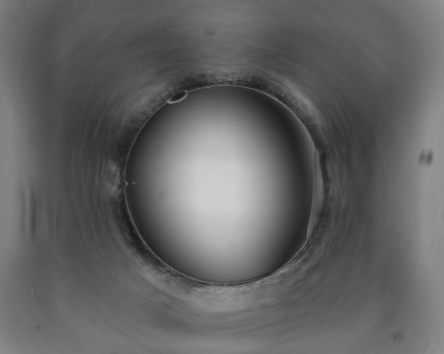 X0000090730025200707271413
