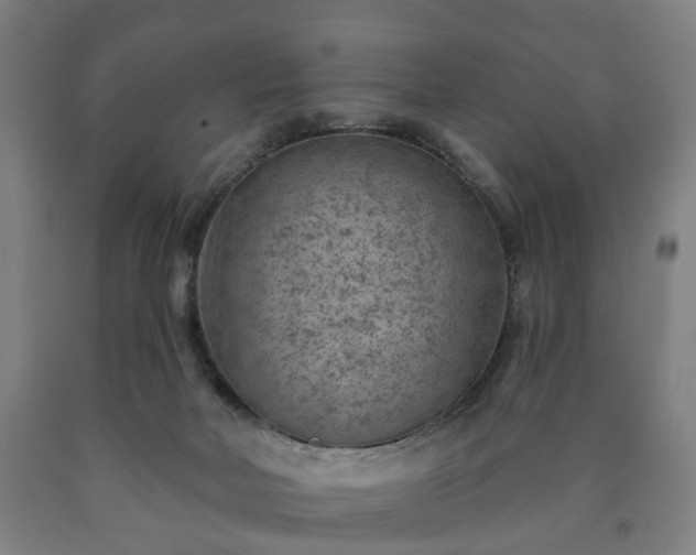 X0000090730026200707271413