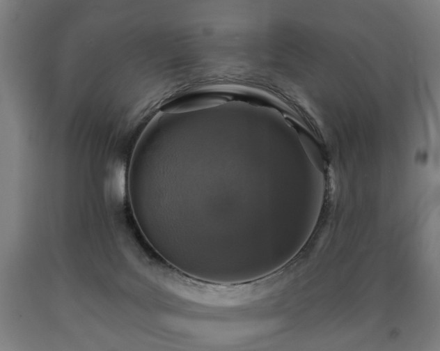 X0000090730027200707271413