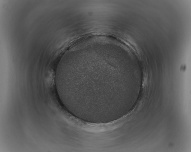 X0000090730029200707271413