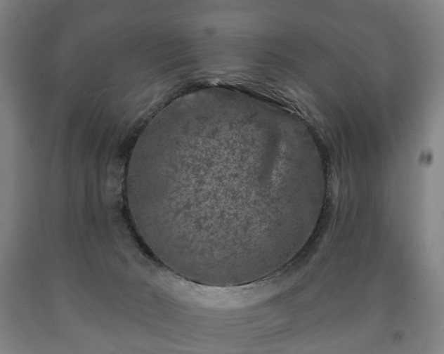 X0000090730030200707271413