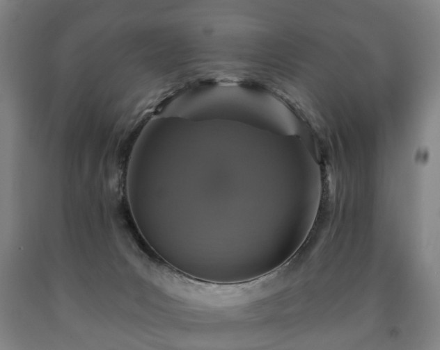X0000090730031200707271413
