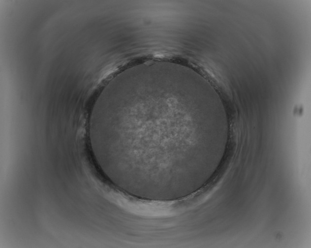 X0000090730032200707271413