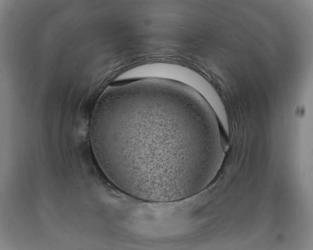 X0000090730033200707271413
