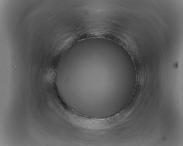 X0000090730036200707271413