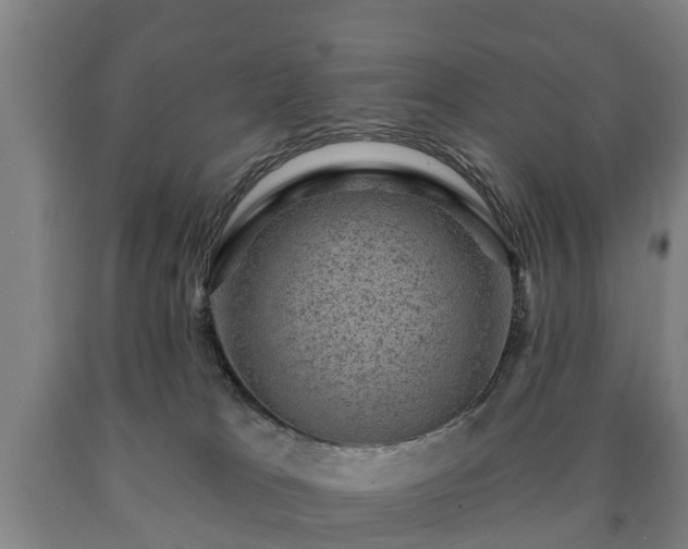 X0000090730037200707271413