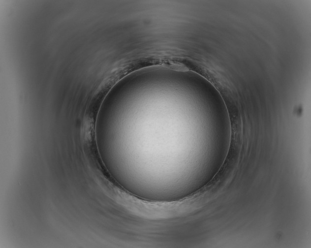 X0000090730038200707271413